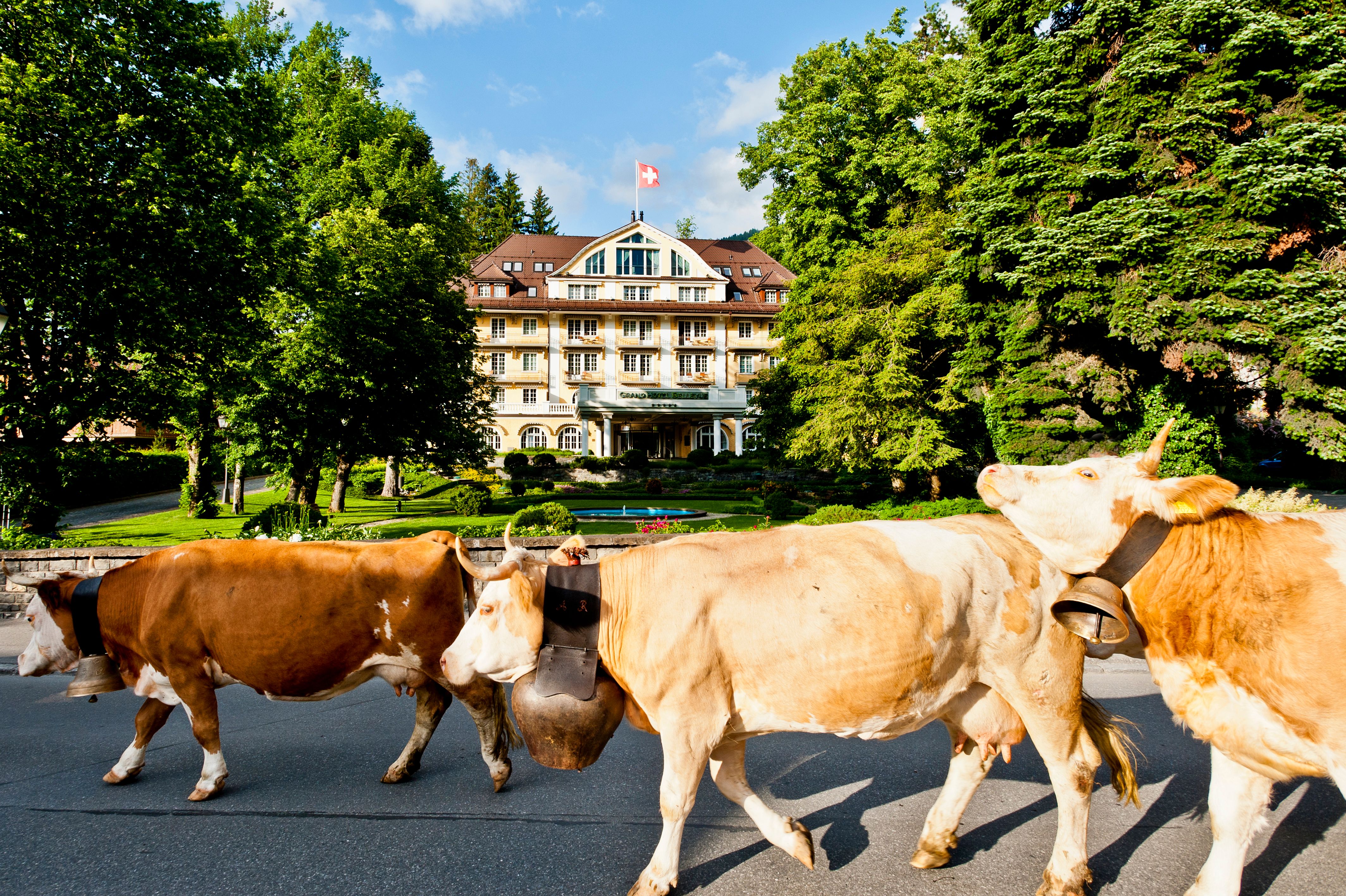 Le Grand Bellevue is Gstaad Personified
