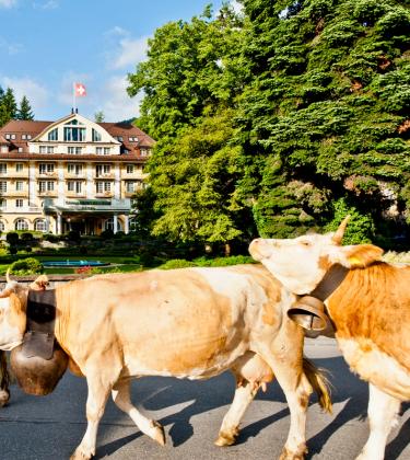 Le Grand Bellevue is Gstaad Personified