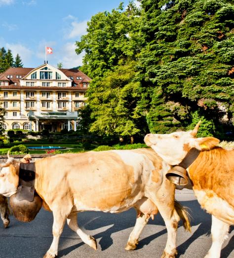 Le Grand Bellevue is Gstaad Personified