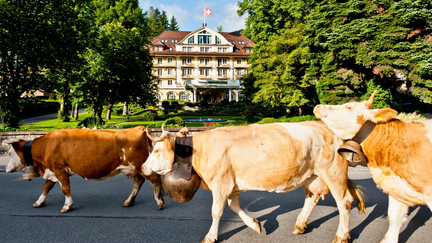 Le Grand Bellevue is Gstaad Personified