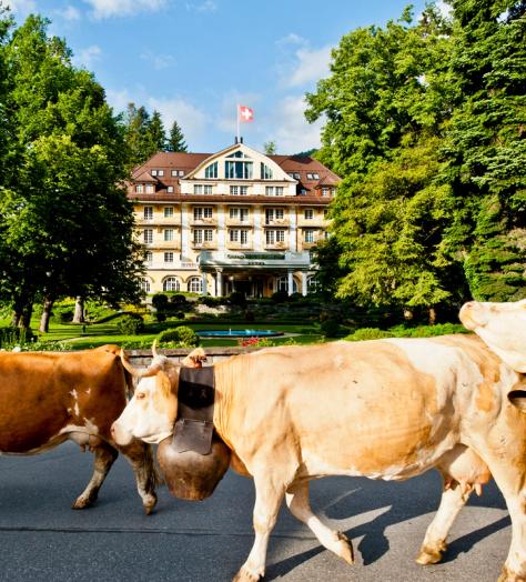 Le Grand Bellevue is Gstaad Personified
