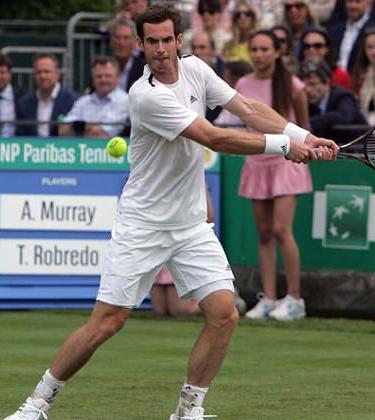 3 Reasons Why Andy Murray Will Win Wimbledon Again