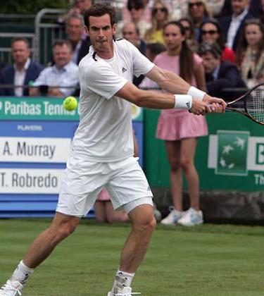 3 Reasons Why Andy Murray Will Win Wimbledon Again