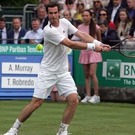 3 Reasons Why Andy Murray Will Win Wimbledon Again