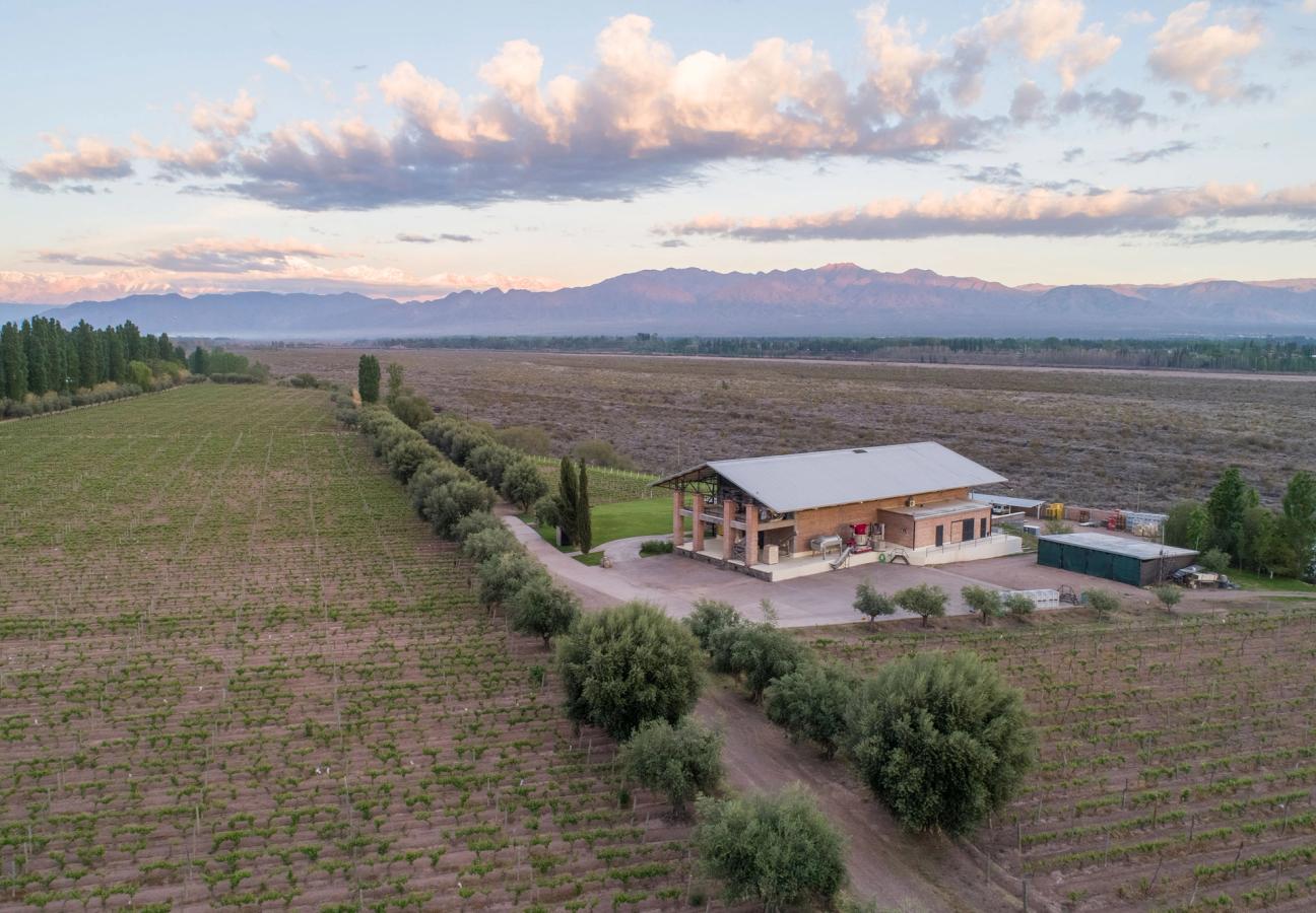 A wooden building on a vineyard with mountains in the background