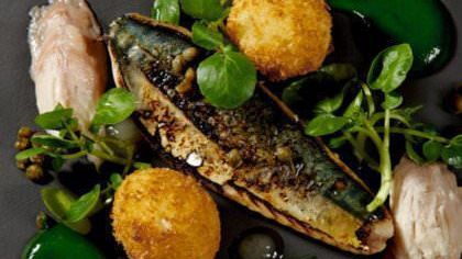 Restaurant Review: THIRTY-SIX at Dukes