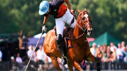 WHAT’S ON – JUNE HIGHLIGHTS