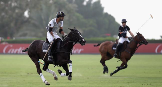 People playing polo on horseback