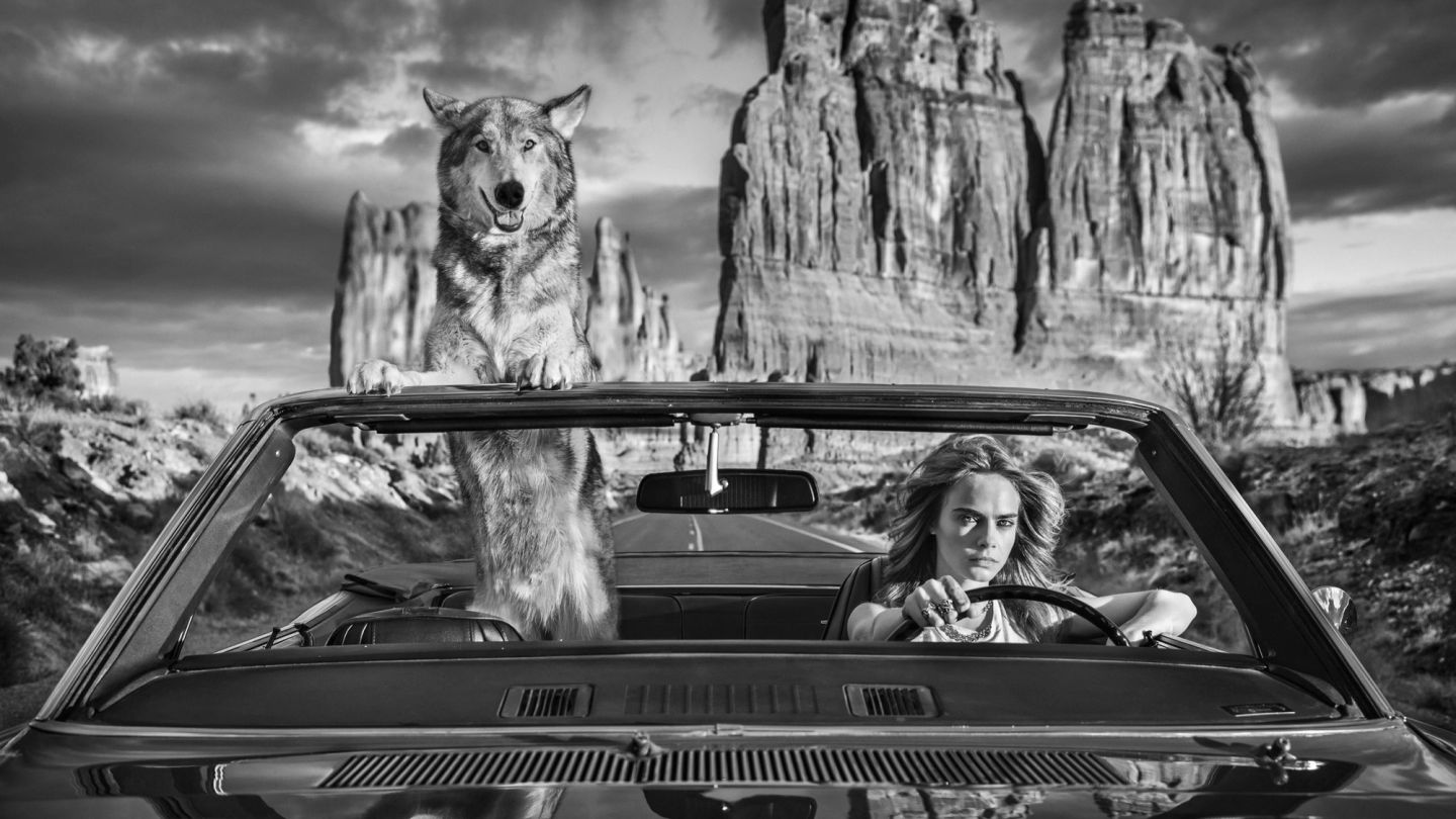 These are the photographic prints you should be investing in this summer