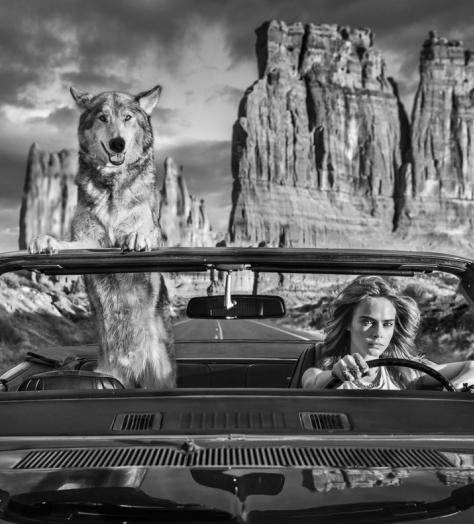 These are the photographic prints you should be investing in this summer