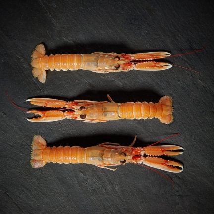 Wright Brothers Live Large Langoustines