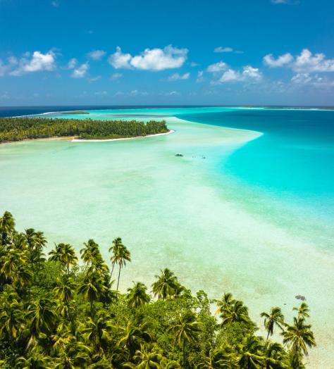 Palm trees above Tetiaroa’s turquoise lagoon at The Brando