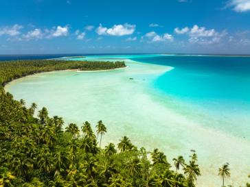 Palm trees above Tetiaroa’s turquoise lagoon at The Brando