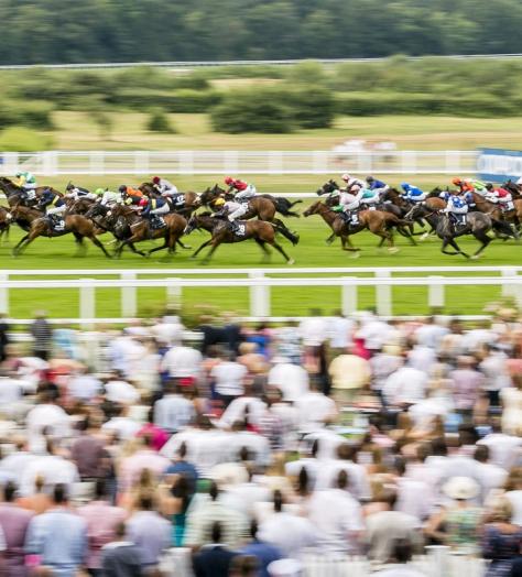 Style, speed and scandals – the most shocking stories from Royal Ascot