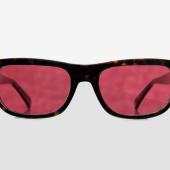 Curry & Paxton, Yvan Tinted Lens