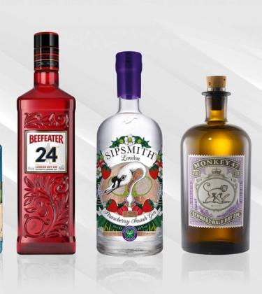 21 of the best gins to drink in 2021