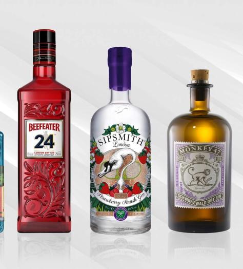 21 of the best gins to drink in 2021
