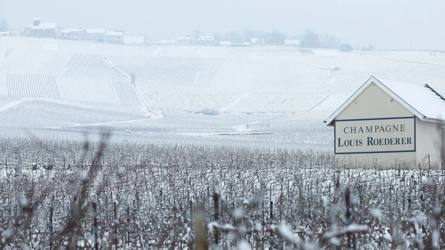 These are the Louis Roederer champagnes to be sipping this Christmas