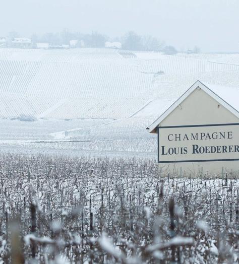 louis roederer champagnes christmas