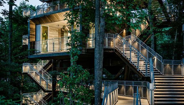 Treehouse01_Masthead