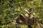 Tawny Owl Treehouse