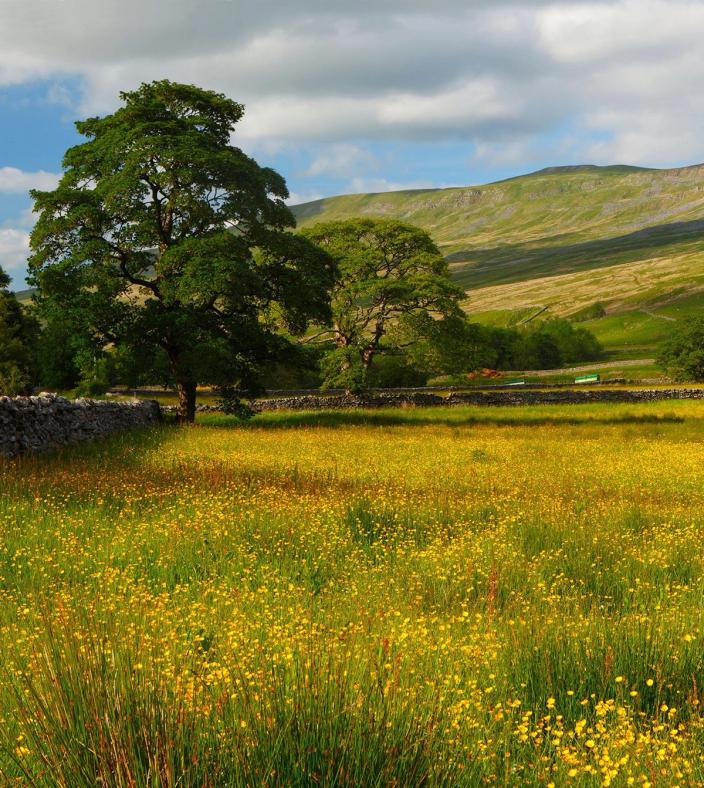 mallerstang valley