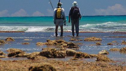 FLY FISHING – THE FIVE ULTIMATE SALTWATER DESTINATIONS