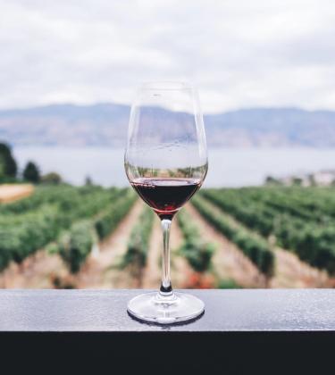 Wine explained: know your Syrah from your Sémillon
