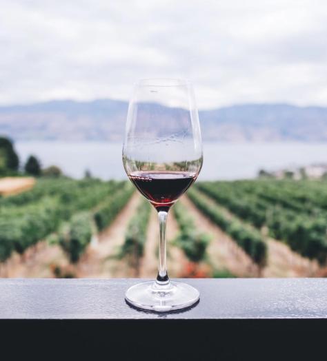 Wine explained: know your Syrah from your Sémillon