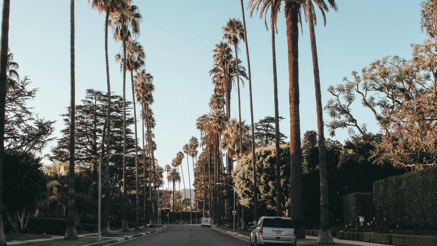 4 of our most stylish friends on where they’re spending their summers