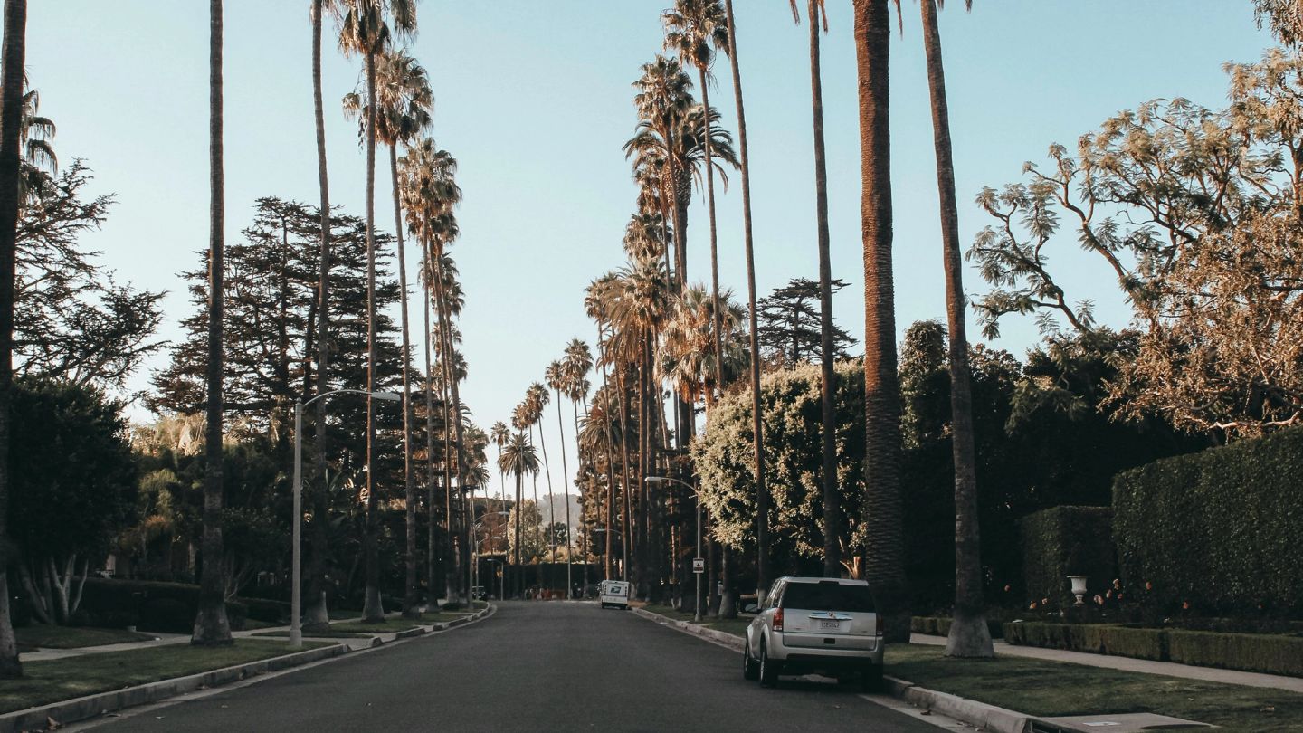4 of our most stylish friends on where they’re spending their summers