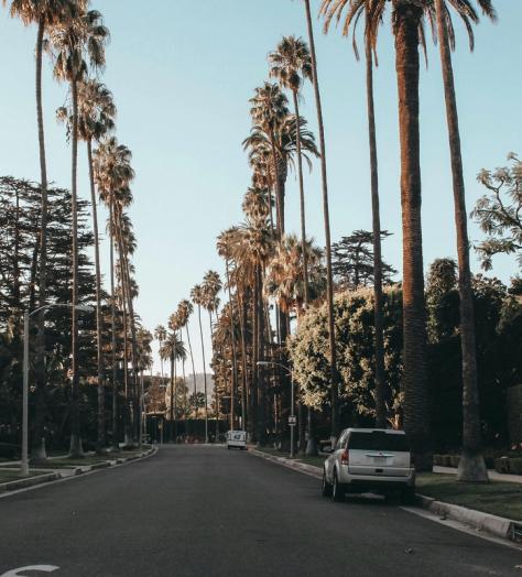 4 of our most stylish friends on where they’re spending their summers