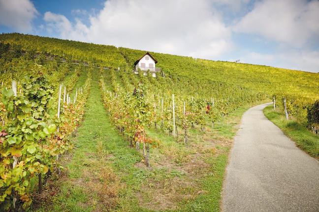 GRAND TOUR SCHITERBERG