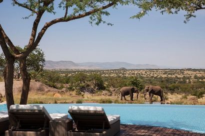 Lap it up: the world’s greatest hotel pools