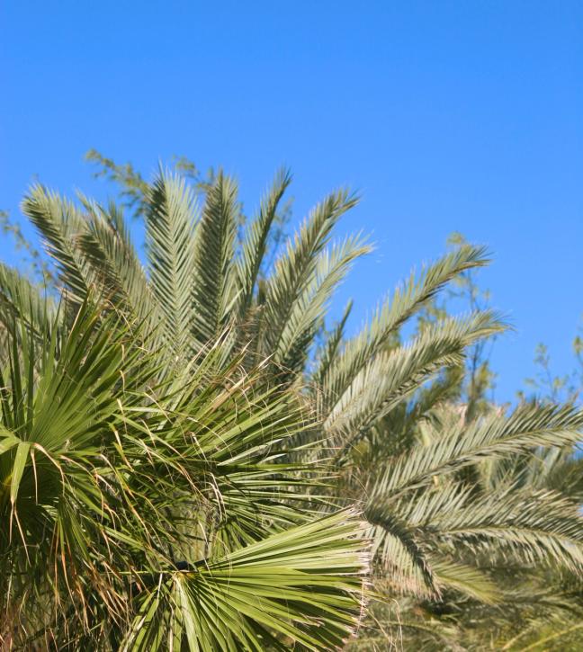 best safe travel destinations winter sun cayman