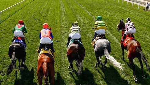 The best ways to spend Boxing Day