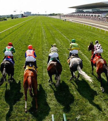 The best ways to spend Boxing Day
