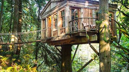 TREE HOUSE LODGES – 7 OF THE HIGHEST QUALITY