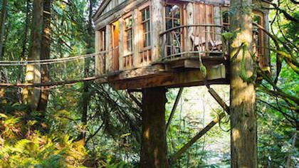 TREE HOUSE LODGES – 7 OF THE HIGHEST QUALITY