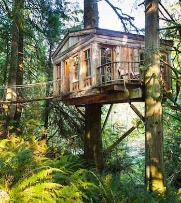 TREE HOUSE LODGES – 7 OF THE HIGHEST QUALITY