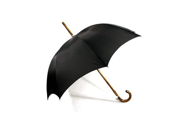 Brolly 1