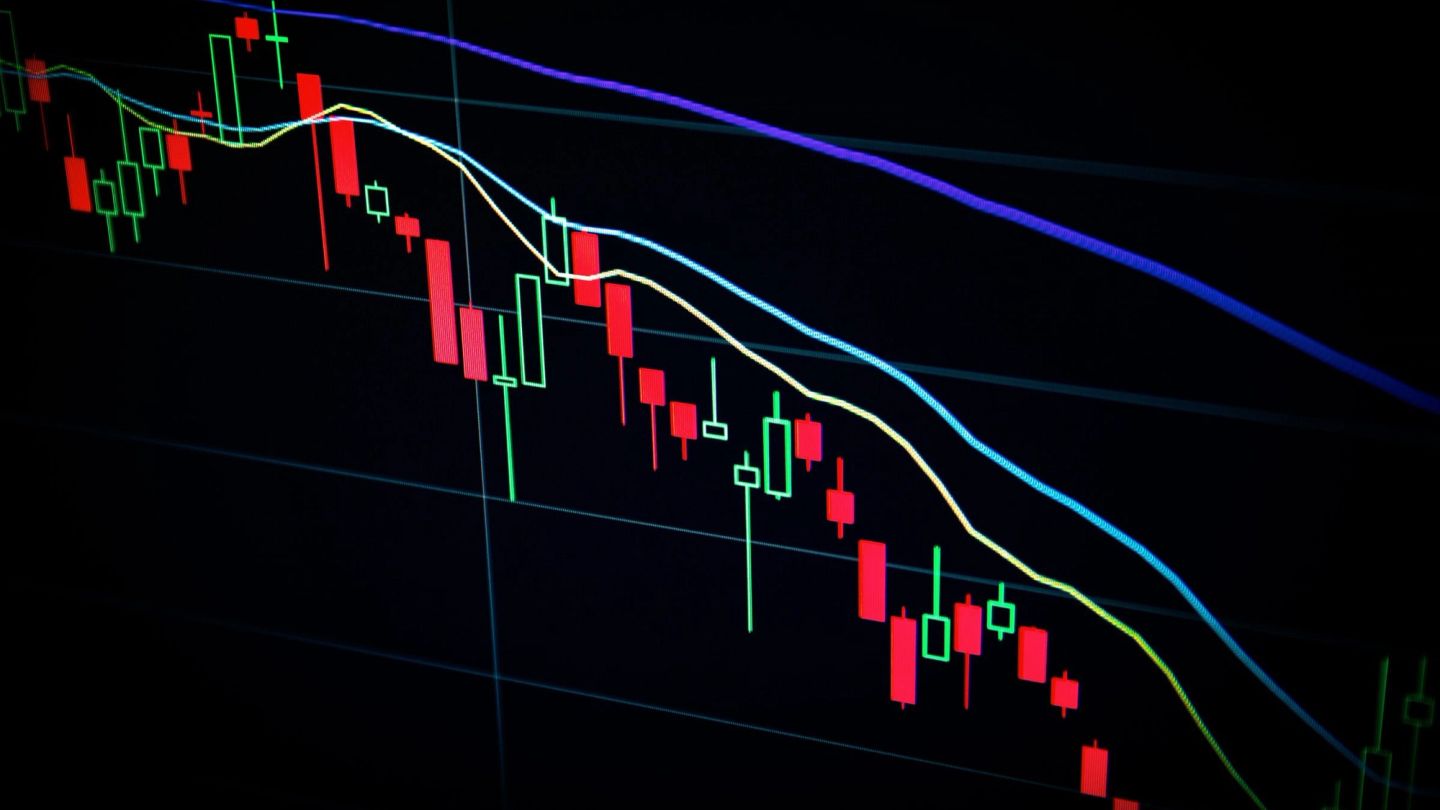 ‘Let’s stonk these tendies to the moon’: How to speak like a modern master of the universe.