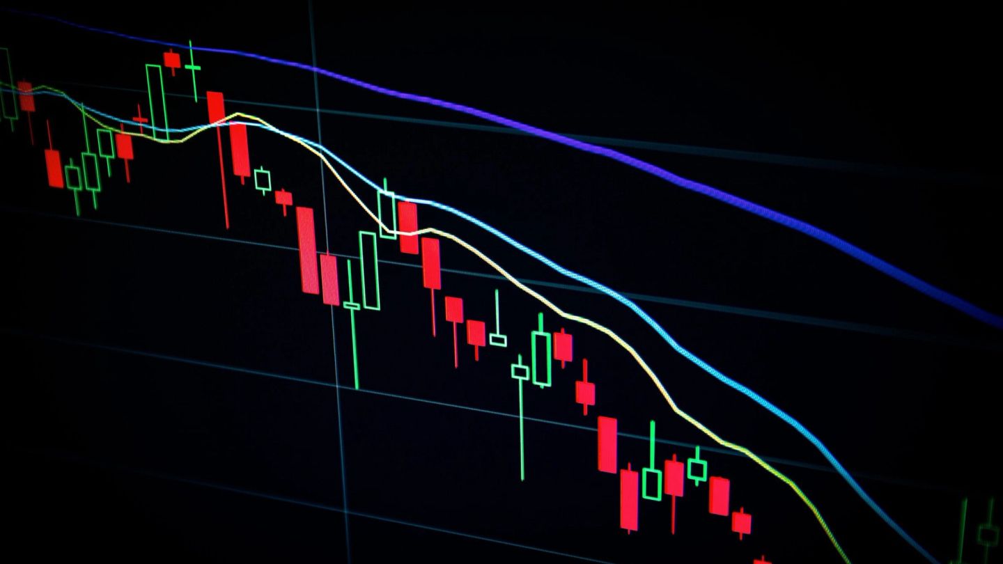 ‘Let’s stonk these tendies to the moon’: How to speak like a modern master of the universe.