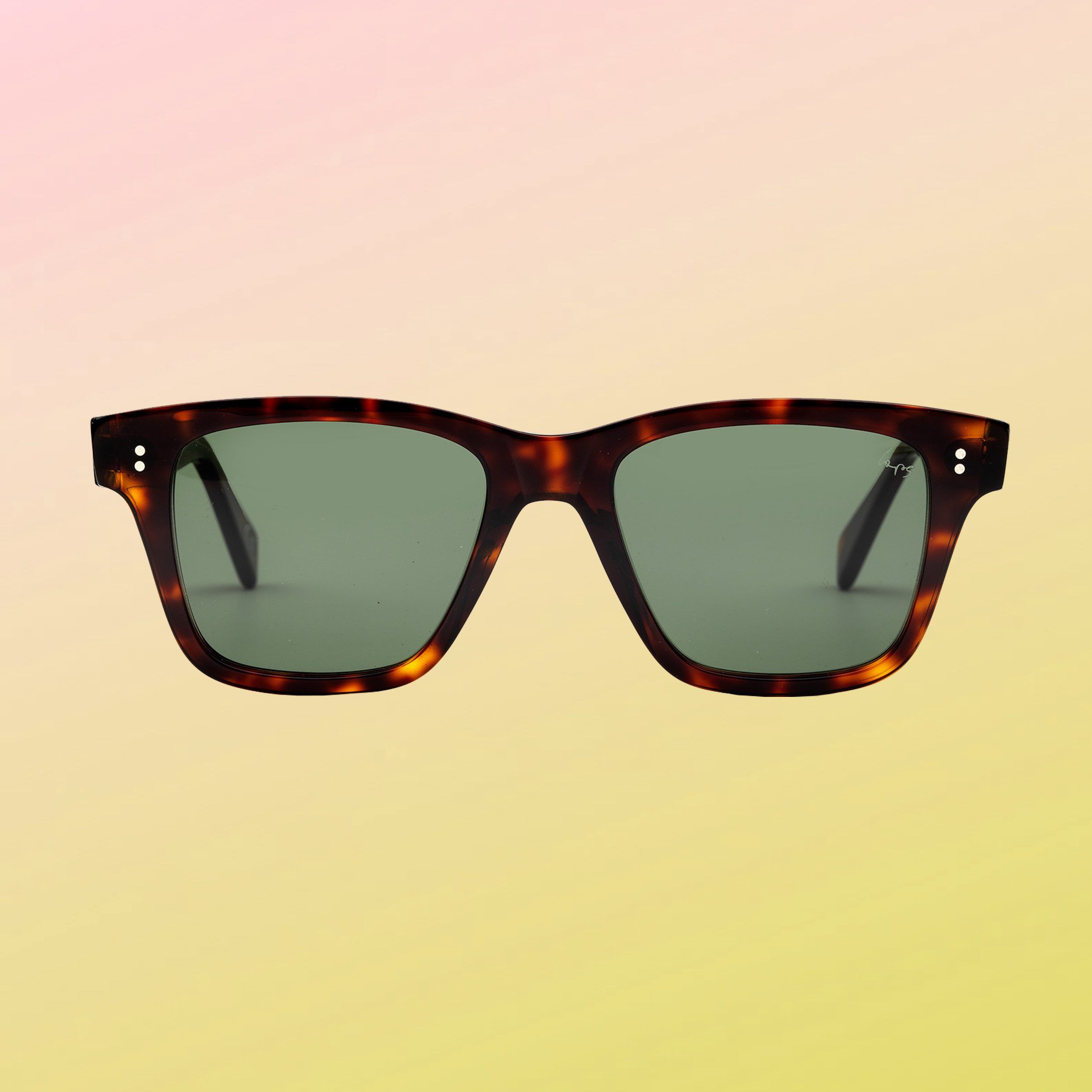 Lapo Elkann Giancarlo