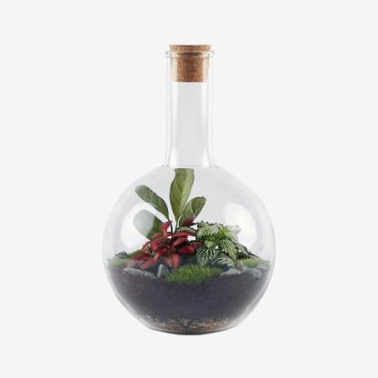 London Terrariums ‘The Boiling Flask’