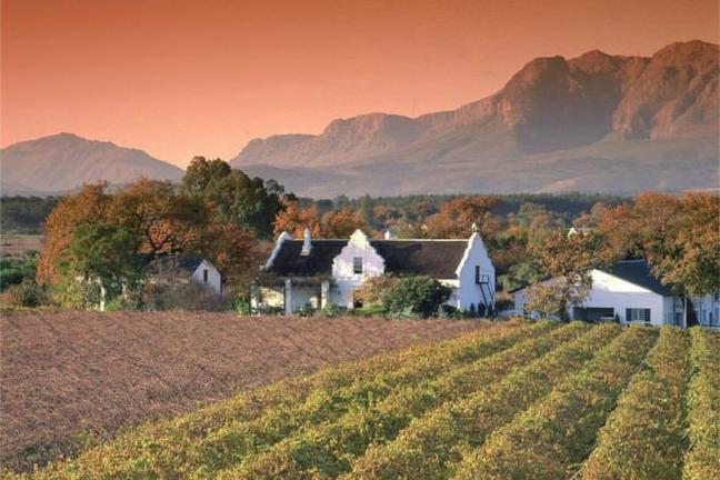 WINELANDS, SOUTH AFRICA - TGJ