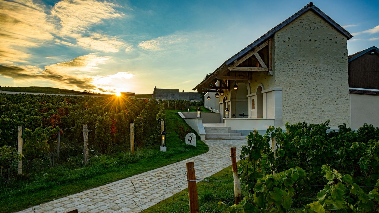 Return to roots: Billecart-Salmon's top cuvée contains past, present and future