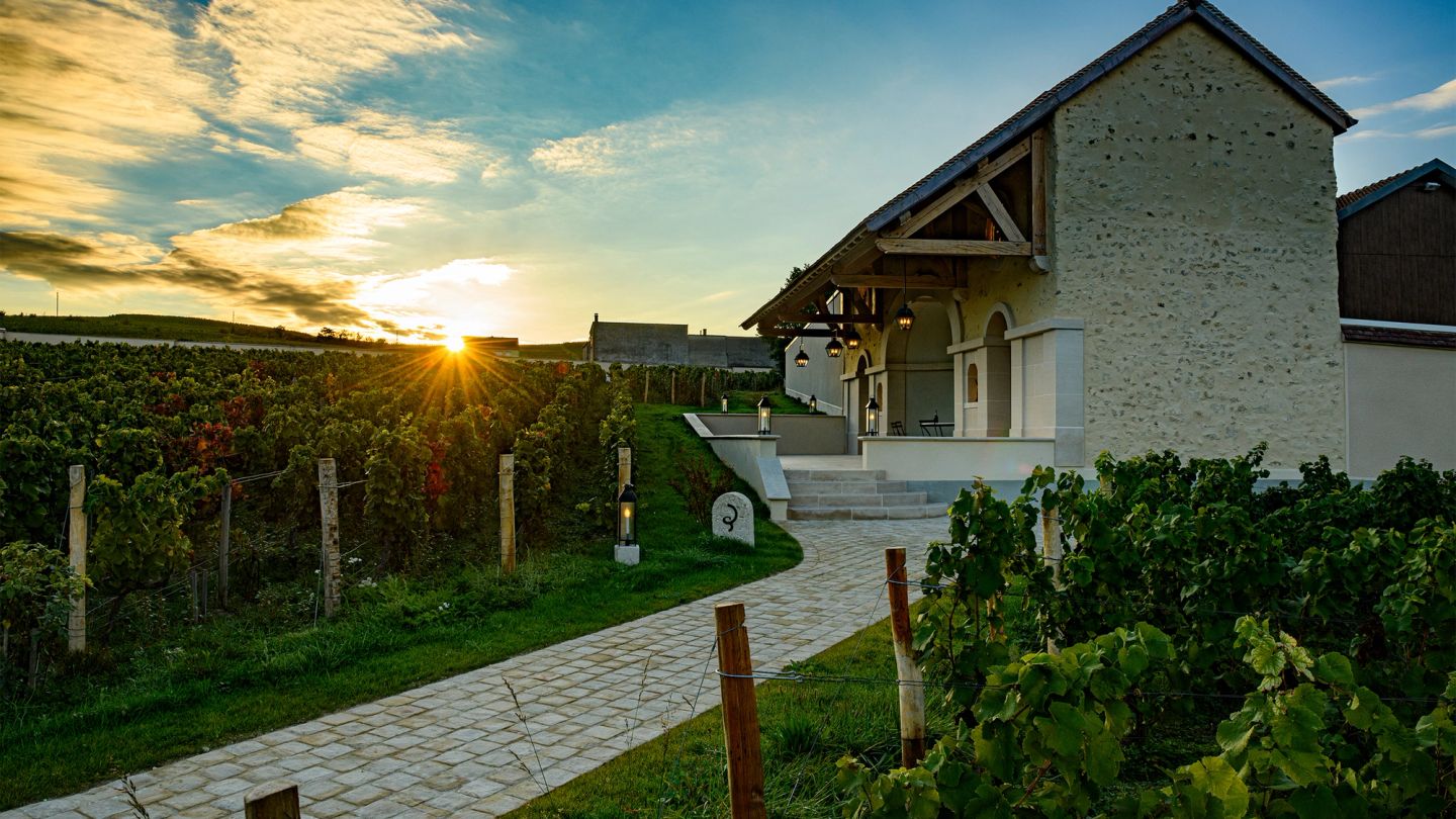 Return to roots: Billecart-Salmon's top cuvée contains past, present and future