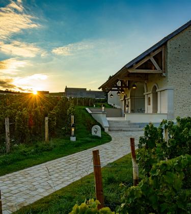 Return to roots: Billecart-Salmon's top cuvée contains past, present and future
