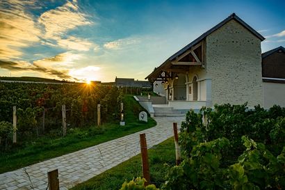 Return to roots: Billecart-Salmon's top cuvée contains past, present and future